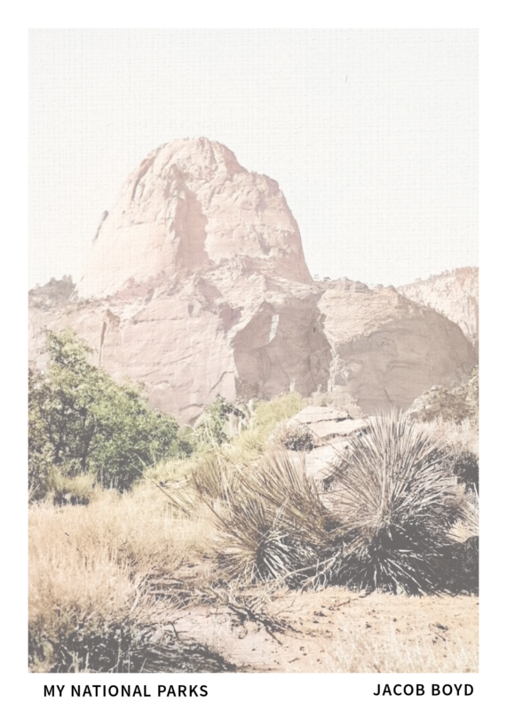 MY NATIONAL PARKS by Jacob Boyd (Foster-Stahl Chapbook Series) | Pre-order Today! Release Party: July 25 at Rozz-Tox!